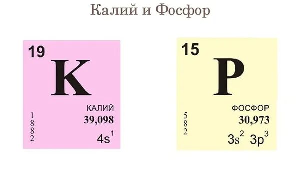 Тип элемента калия