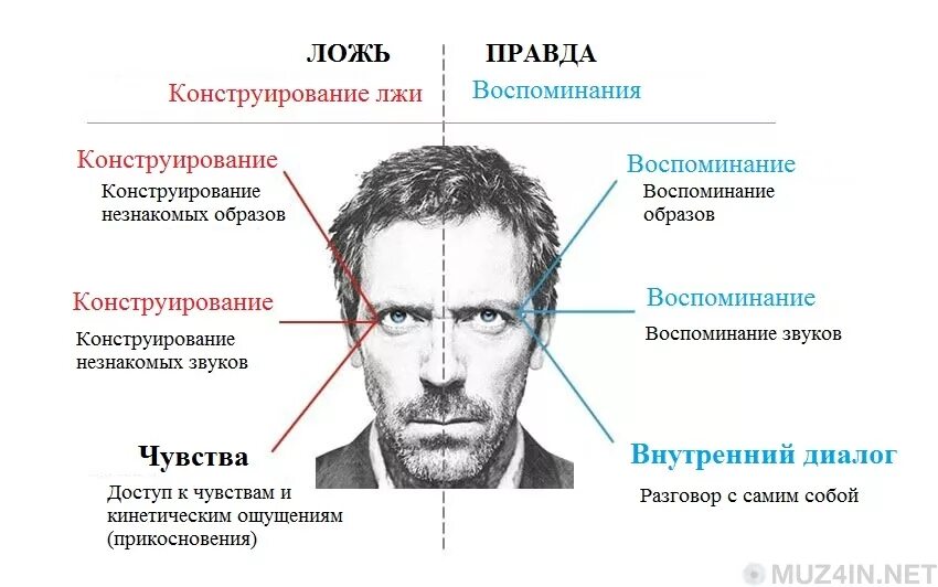 Какую информацию можно узнать о человеке