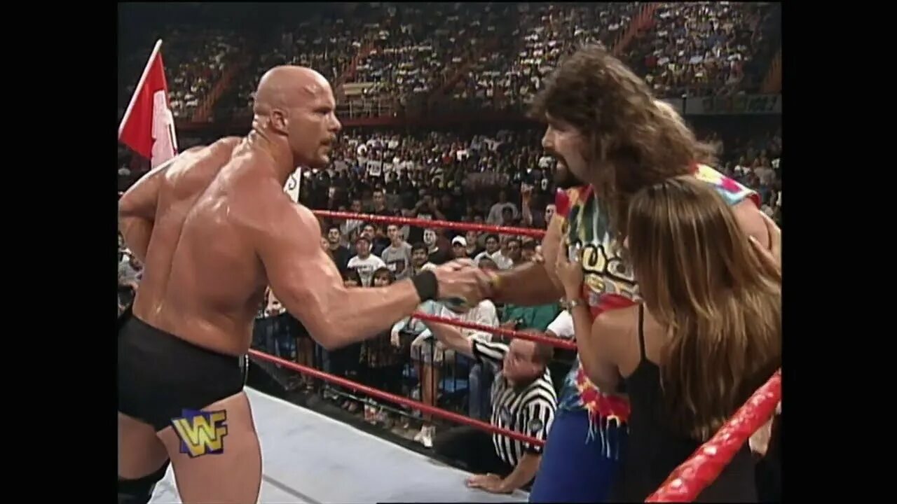 Steve vs stone. Steve vs stone