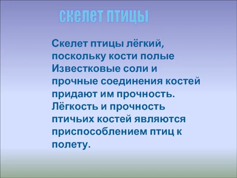 Полые кости у птиц. Приспособлениями птиц к полету являются. Приспособление птиц к полёту проект. Приспособление скелета птиц к полету.