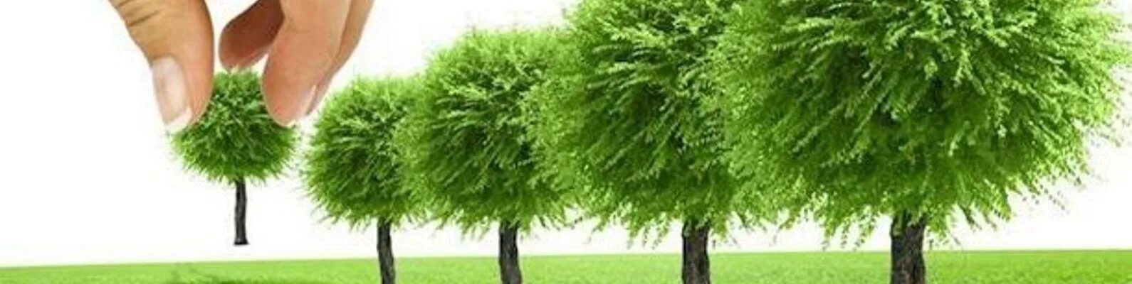 День посадки деревьев 2025. Всемирный день посадки деревьев. всероссийский день посадки леса. всероссийский день посадки леса эмблема. фотоколлаж всероссийский день посадки леса.