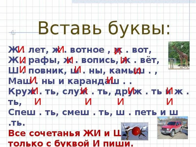 Правописание жи ши ча ща Чу ЩУ. Вставь буквы. Задачи по русскому языку 1 класс жи ши. Слава ча ща Чу ЩУ жи ши.