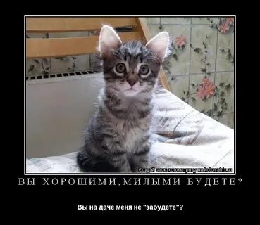 Не оставляй меня на даче