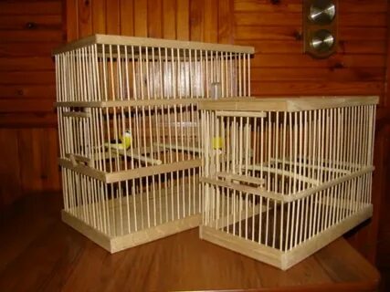 Сделай сам клетка