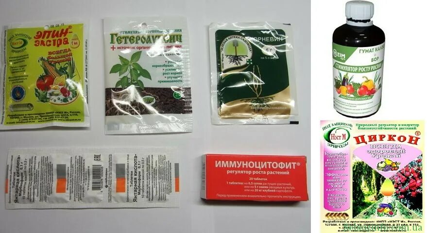 Иммуноцитофит инструкция по применению для растений. Стимулятор роста для растений. биостимуляторы роста для растений. биостимуляторы для комнатных растений. биопрепарат иммуноцитофит для клубники.