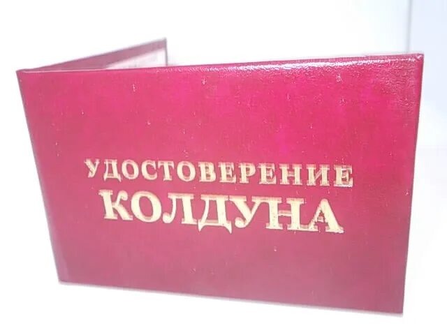 Пмж песня алсми. Ксива МВД. Ксива прикол.