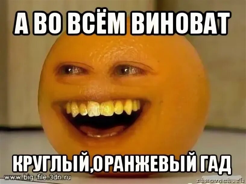 Злой мандарин. Оранжевый полоз змея. Оранжевый гад. Оранжевый гад. Оранжевый гад.