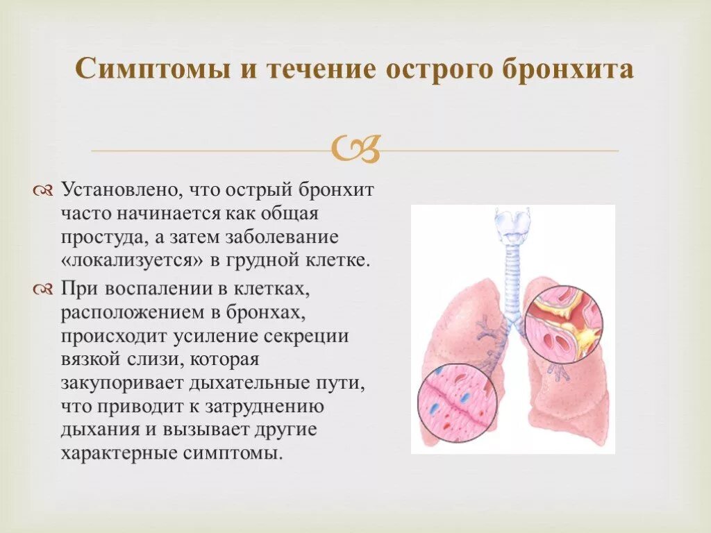 Причины частых бронхитов. Бронхитсиптрмы у детей. Бронхит у детей симптомы. Бронзит симтом у детей.