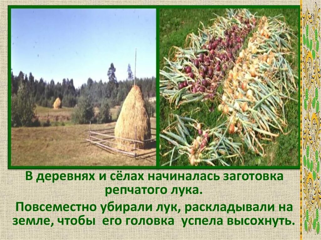 5 сентября приметы и поверья. Луков день. 20 сентября народный календарь.