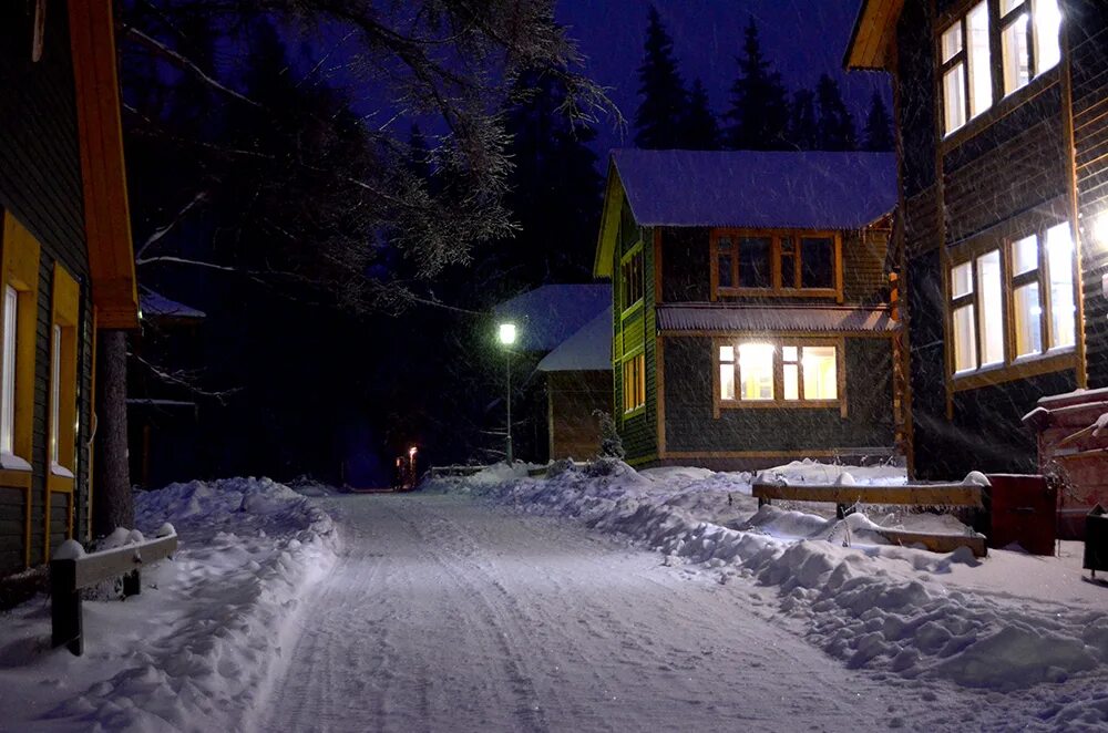 звенигородская биологическая станция мгу. звенигородская биостанция мгу и карьер сима. звенигородская биологическая станция мгу. биологическая база мгу звенигород. збс звенигородская биостанция.