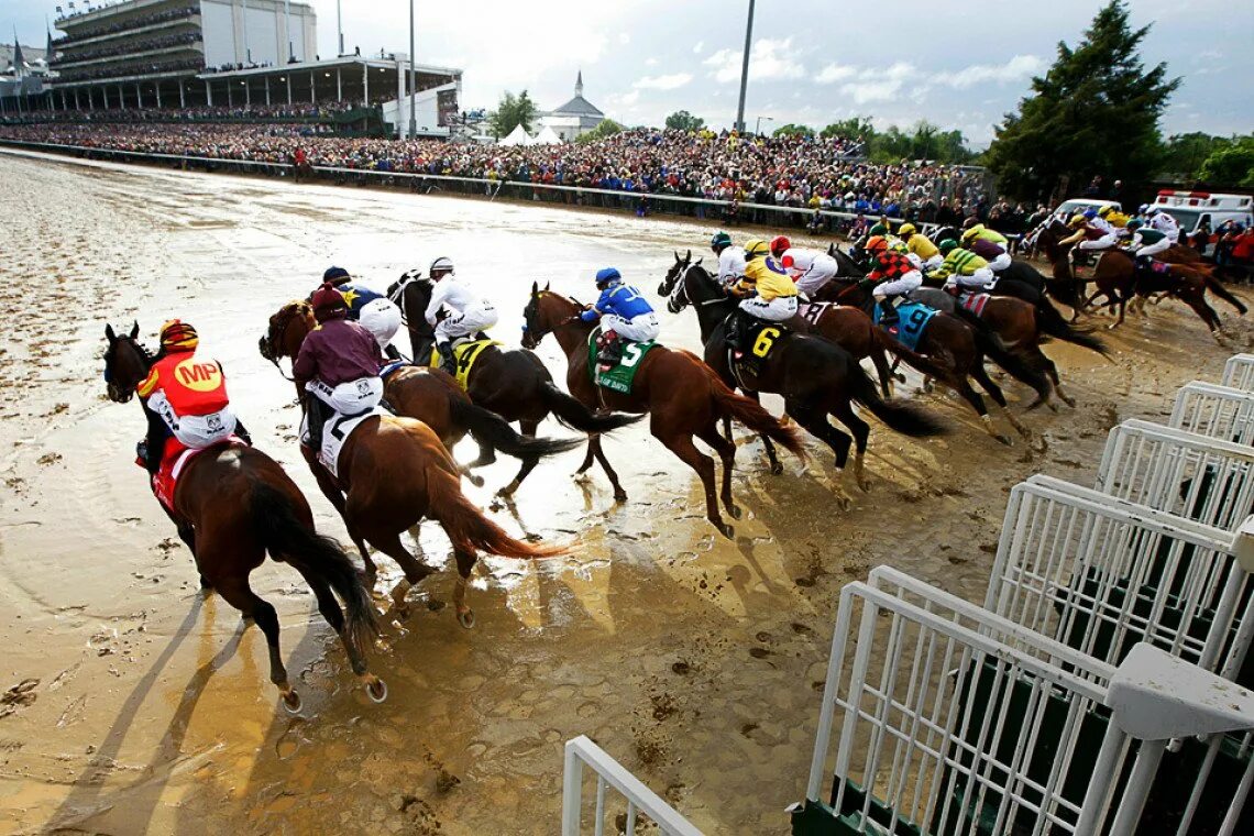 Гонки на ипподроме. Конные скачки. Скачки на лошадях. Кентукки скаковые лошади. Гонки на ипподроме.