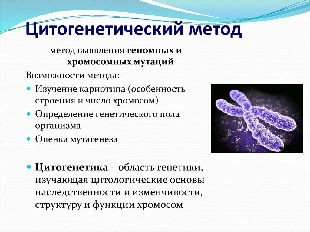 Хромосомные мутации методы генетики. Цитогенетический метод исследования наследственности. Цитогенетический метод исследования наследственности человека. Цитогенетический метод исследования позволяет выявить. Цитогенетический метод изучения наследственности человека.