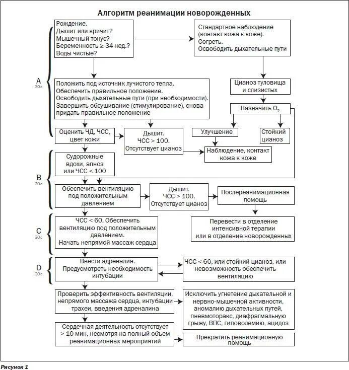 Алгоритм действий ребенка. Схема первичной реанимации новорожденных. Первичная реанимация новорожденных алгоритм. Алгоритм реанимации новорожденных при асфиксии. Таблица первичная реанимация новорожденных.