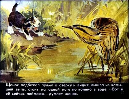 Главные герои бианки