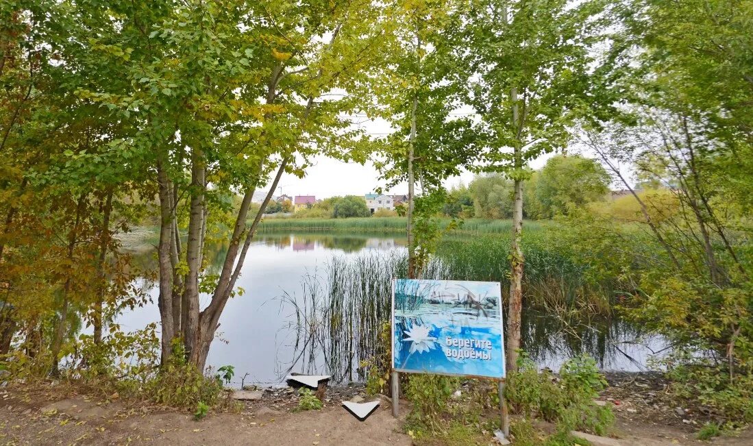 Яблонька самара. Озеро Шишига Самара. Озеро Паршино Самара. Озеро Шишига Самара рыбалка. Озеро Сорокины хутора Самара.