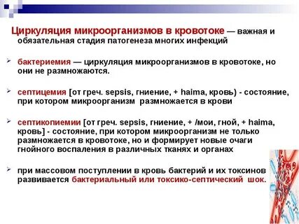 Пути циркуляции