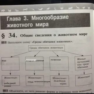 Заполните схему среды обитания животных