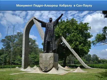 Дерево из бронзы сан паулу 1955