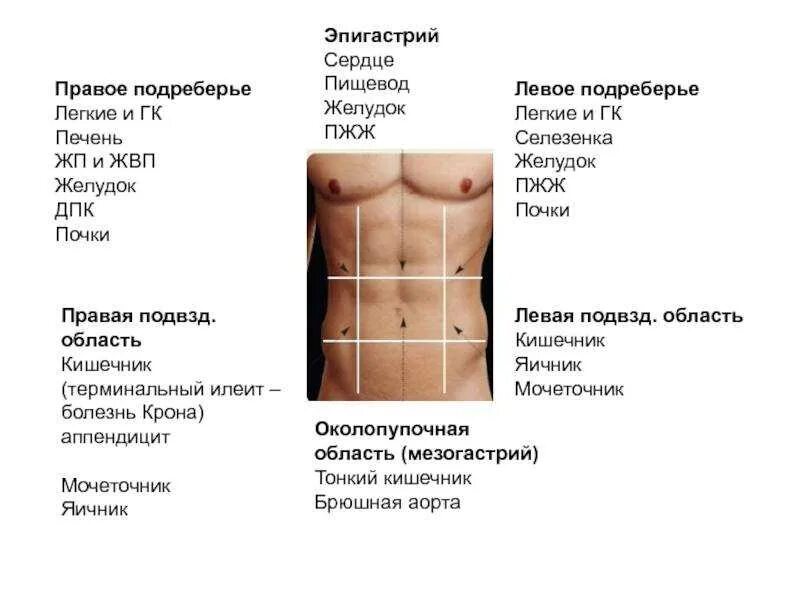 Острая резкая боль в правом подреберье сбоку. Боль между ребер с левой стороны сбоку. Болит в правом подреберье сбоку. Болит левый бок между ребрами сбоку. Болит справа под ребрами спереди у мужчин