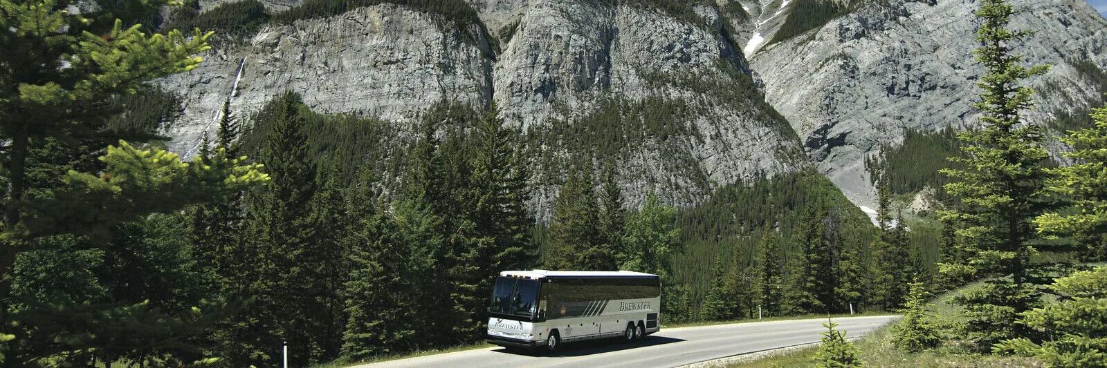 Автобус в горах. Автотур горный алтай. Mountain bus. Mountain bus. Автобус на горной дороге.