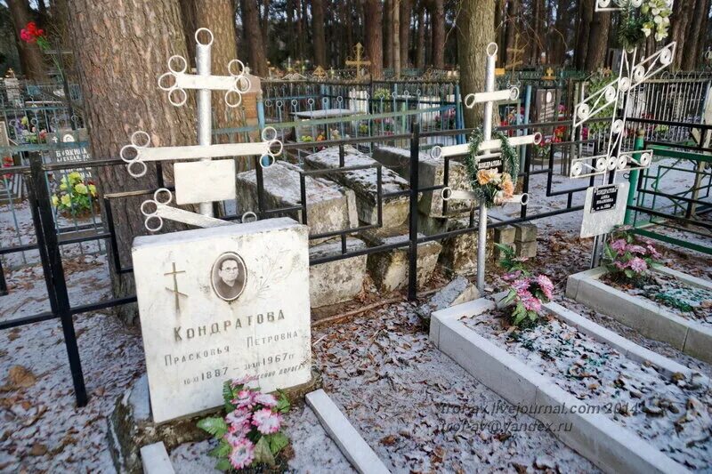 Васильевское кладбище тольятти. Кладбище в рузе. Васильевское кладбище тольятти. Кладбище в рузе. Старое автозаводское кладбище нижний новгород.
