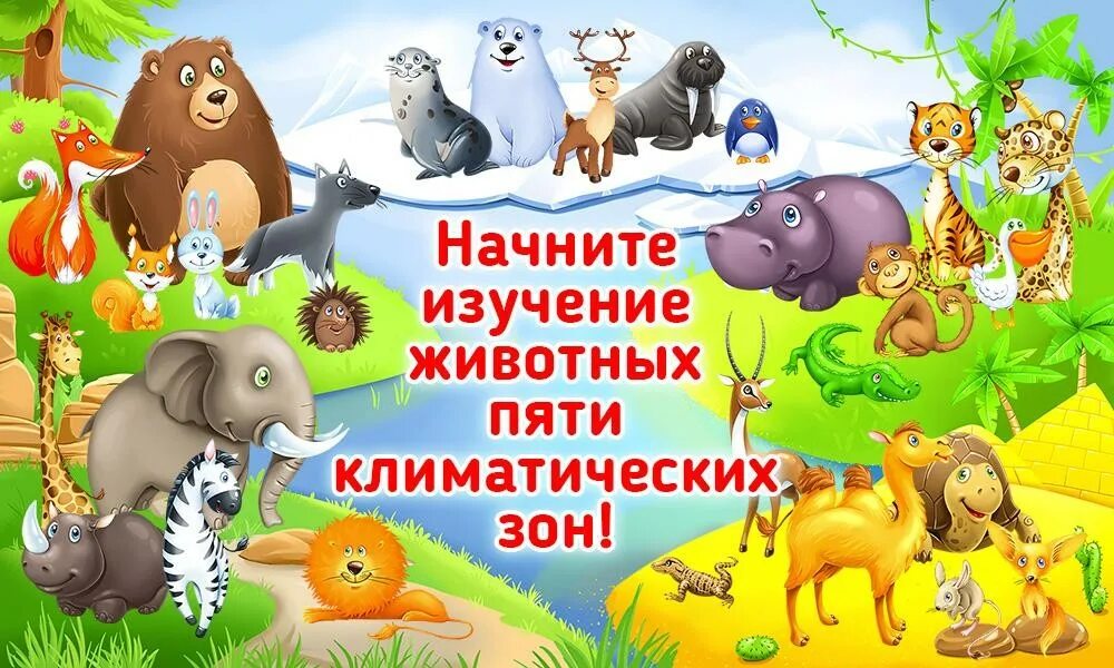 Про животных изучать. Малыш учит животных. изучаем зверей для малышей. учим животных для детей. животные изучение для деток.