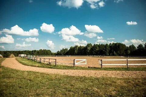 Сосновый бор кировская область