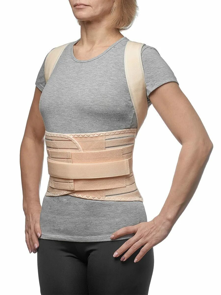 Грудо-поясничный модуль ev-203/303 для корсетов серии ev "orliman". Детские грудопоясничные корсеты. Бандаж/корсет medi protect. Грудопоясничный корсет для позвоночника полужесткий. Корсет fosta fs 4605.