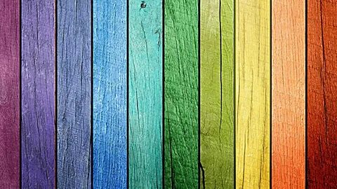 Colorful woods