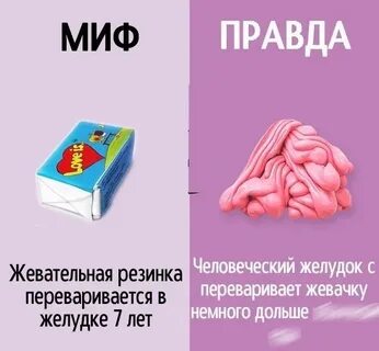 А нужна ли правда вообще