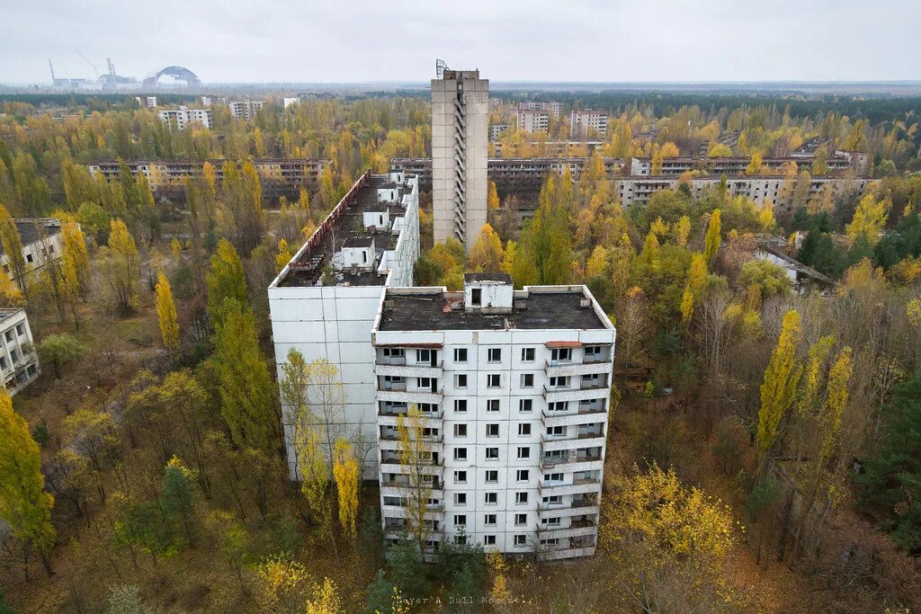 Припять сейчас 2025 что происходит в городе. Припять сейчас 2025 что происходит в городе