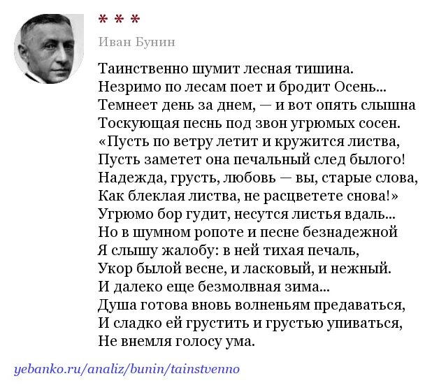 Бунин таинственно шумит Лесная тишина. Бунин тишина. Стих о тишине Бунин. Тишина стихотворение Бунина.