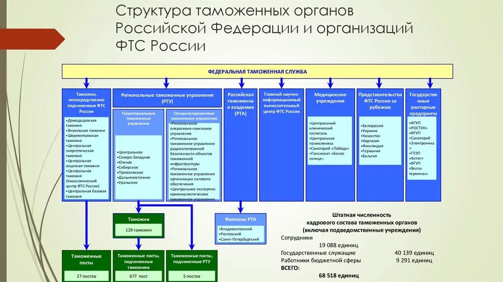 Структура таможенных органов РФ 2021. Структура таможенных органов РФ И организаций ФТС России. Структура таможенных органов РФ схема. Организационная структура ФТС схема.