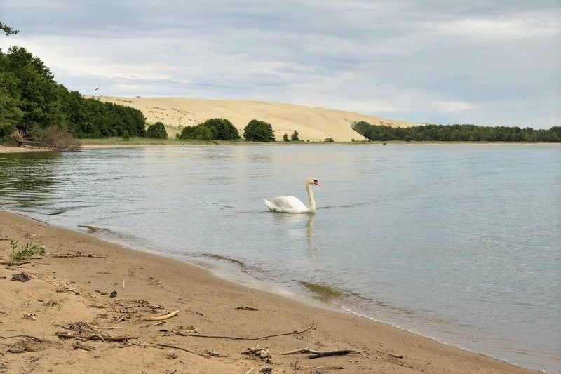 Куршская коса, Зеленоградск, замок Шаакен и сыроварня. Постер 1