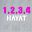 Hayat Project