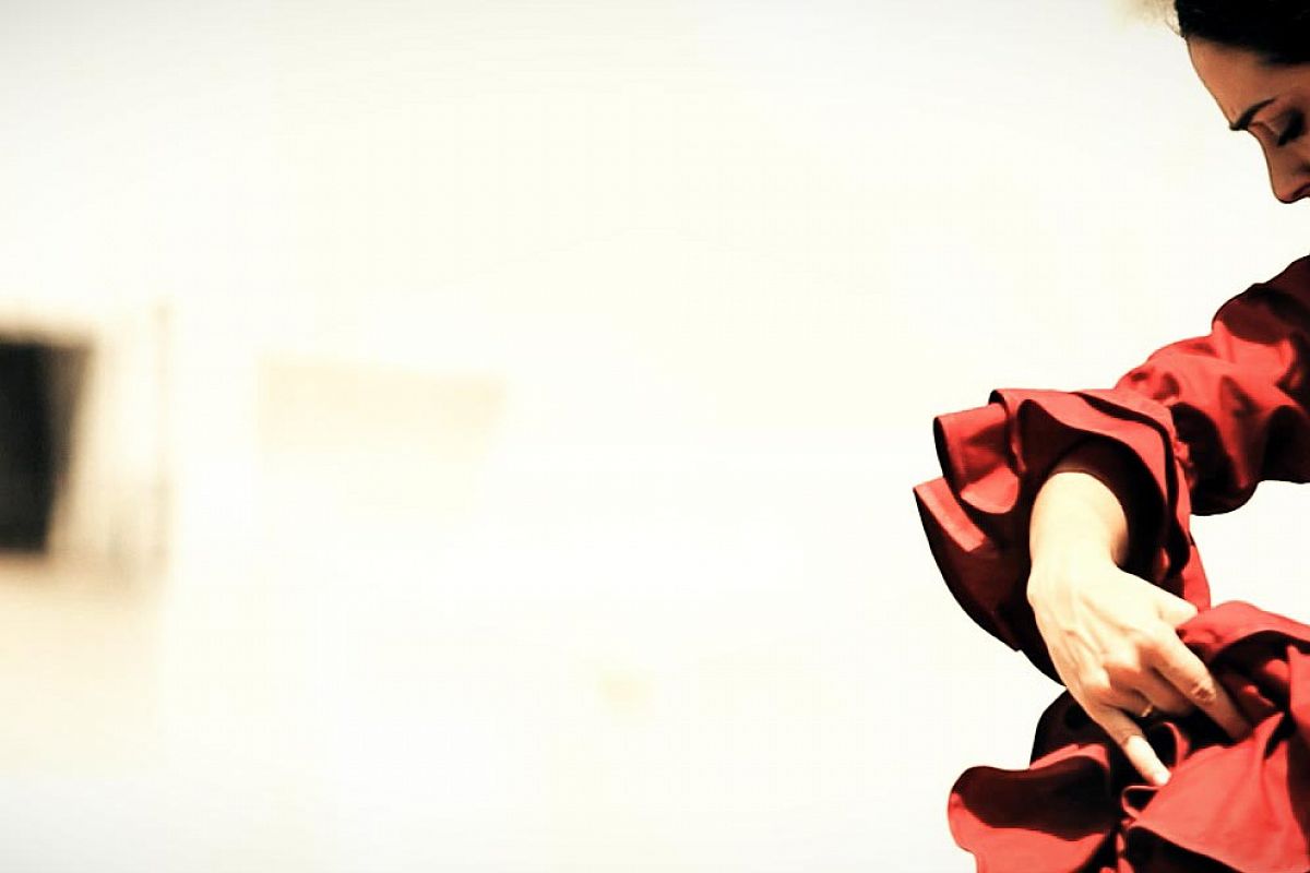 

Билеты на Новогодний концерт. Танцевальное шоу. Фламенко Андалусии (ЦДРИ)