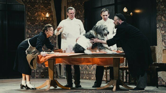 TheatreHD: Собачье сердце