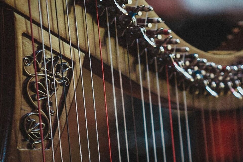 World music в Кафедральном. Кельтские легенды: орган и кельтские арфы