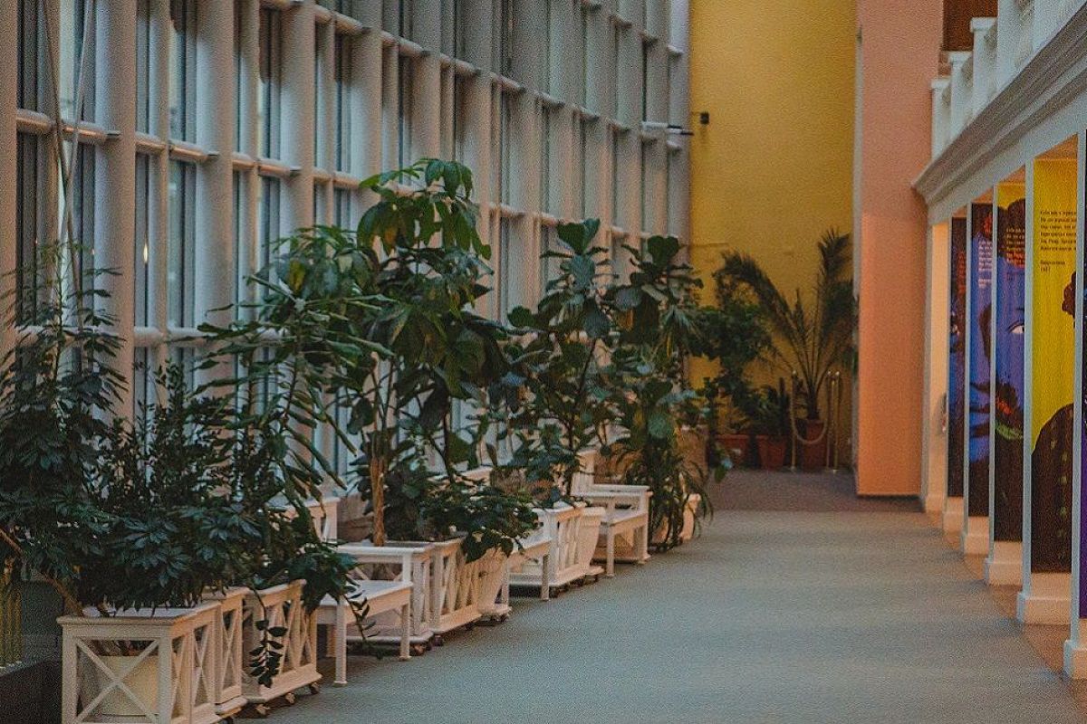 

Билеты на Орган и свечи. От Классики до Неоклассики (Музей Пушкина)