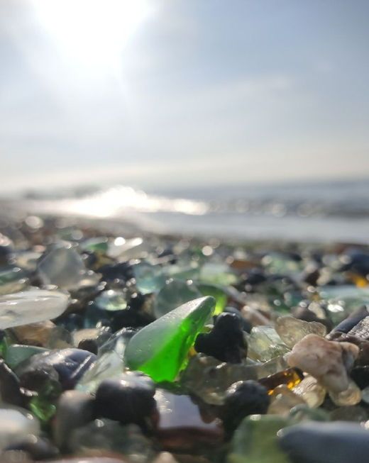 

Билеты на Приморский сафари-парк и бухты Шамора и Стеклянная (Три в одном: тур в сафари-парк и бухты Шамора и Стеклянная)