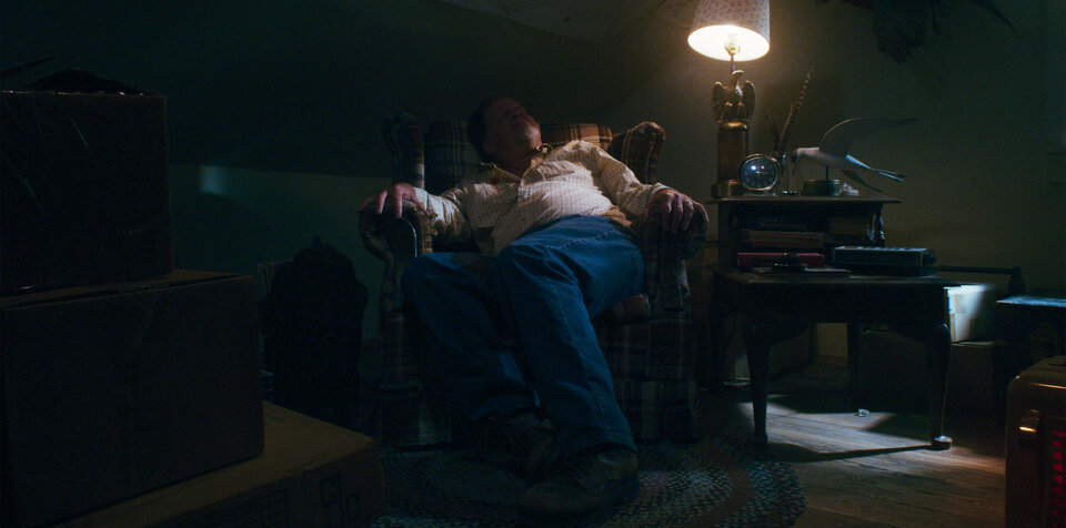 Глазами пса