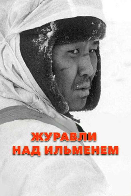 Журавли над Ильменем