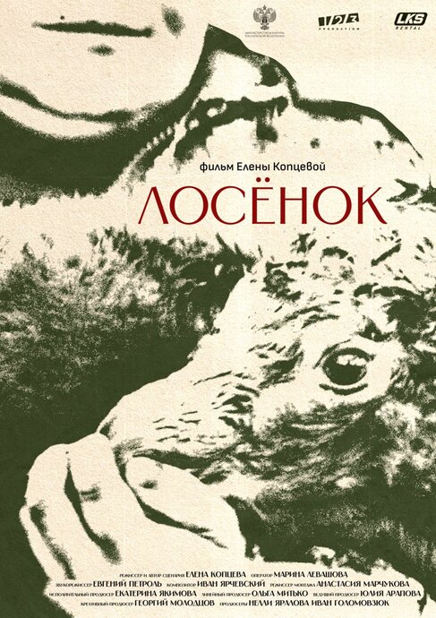 Лосенок