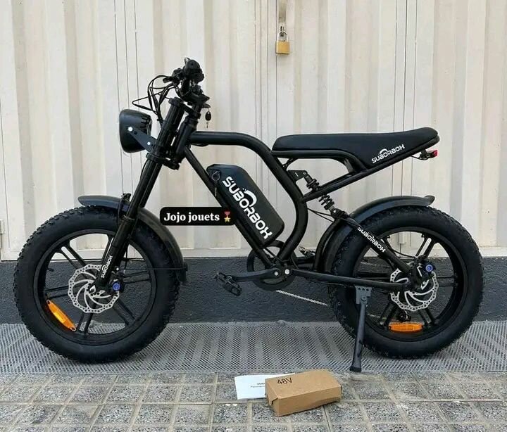 Vélo électrique tout-terrain