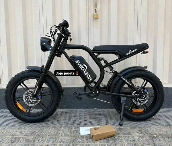 Vélo électrique tout-terrain