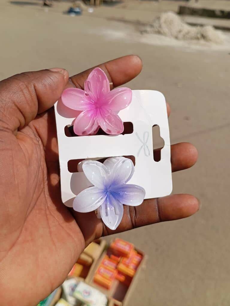 Clips à fleurs colorées
