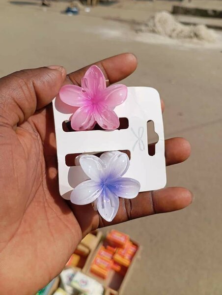 Clips à fleurs colorées