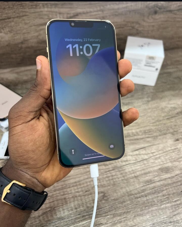iPhone 13 pro Max