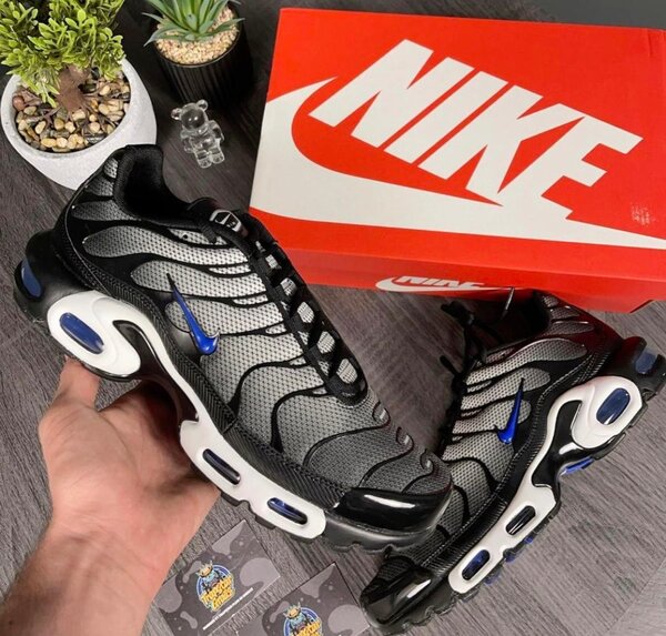 Baskets Nike Air Max Homme