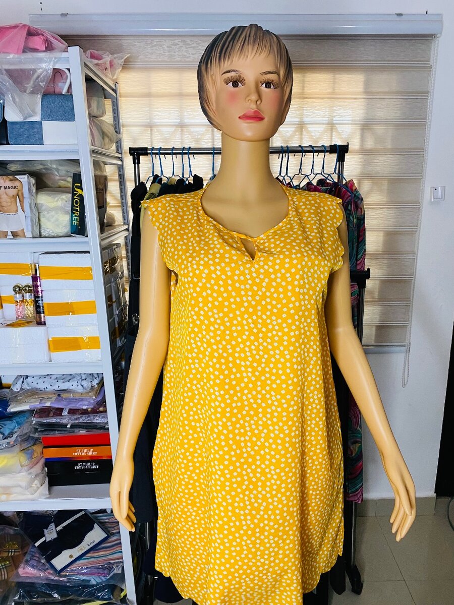 Ladies dress